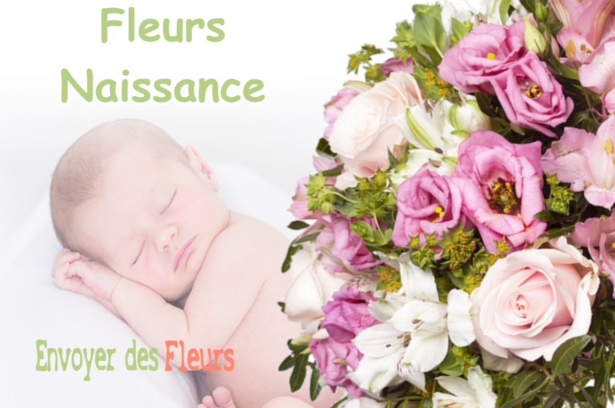 lIVRAISON FLEURS NAISSANCE à LOURDE